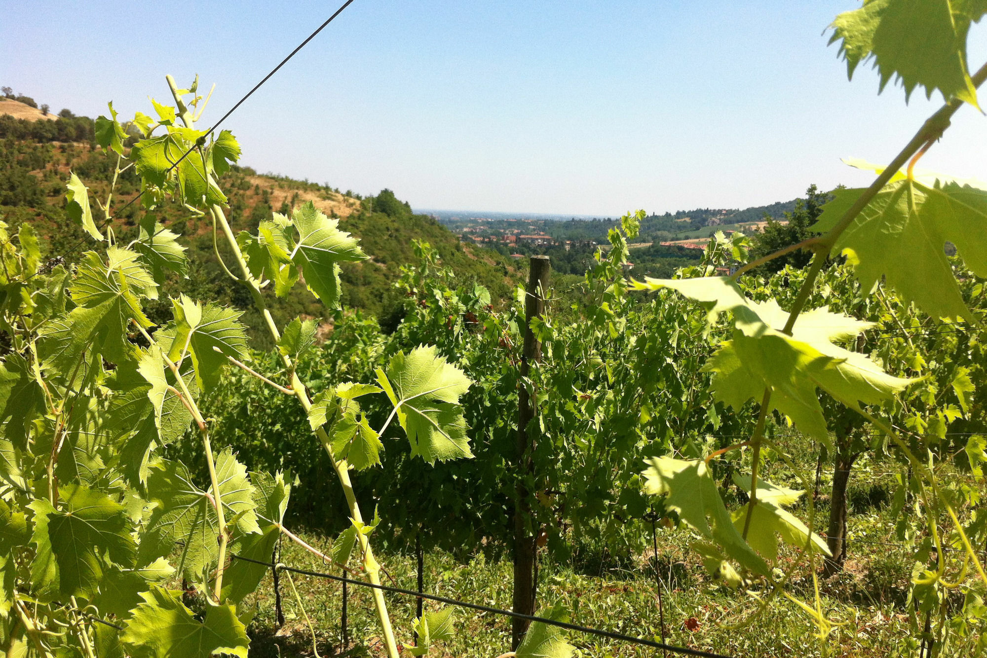 Agriturismo Ben Ti Voglio Bologna Bagian luar foto